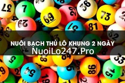 Bạch thủ lô nuôi khung 2 ngày hiệu quả