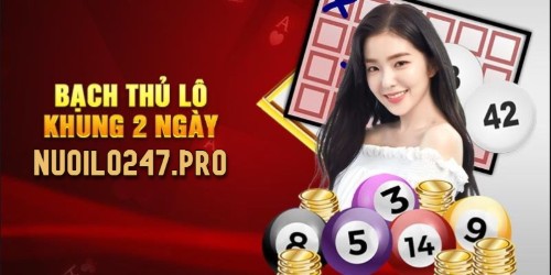 Bạch thủ lô nuôi khung 2 ngày miền bắc