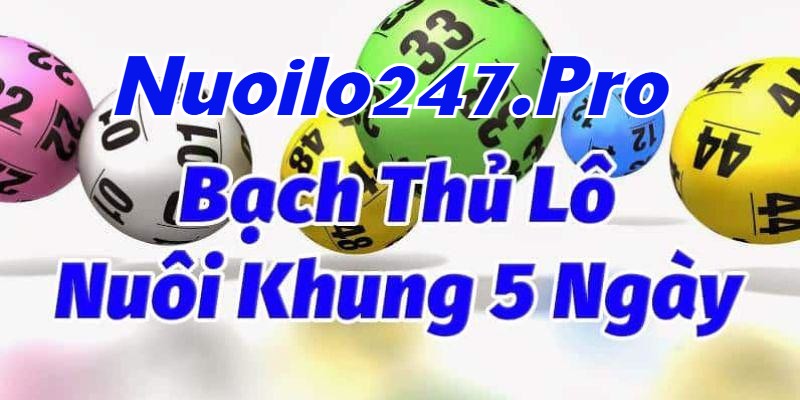 Bạch thủ lô nuôi khung 5 ngày miền bắc hiệu quả