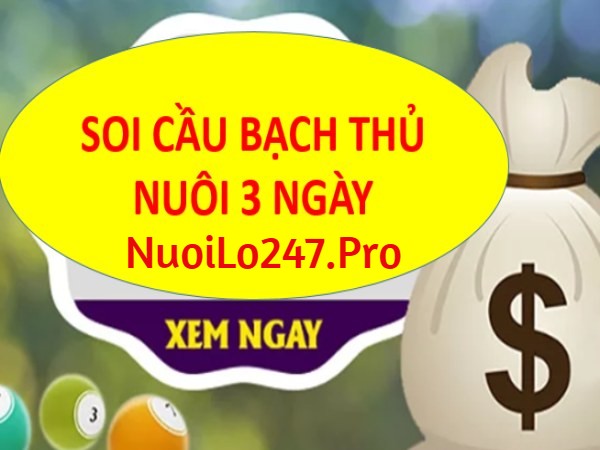 Bạch thủ lô nuôi khung 3 ngày miền bắc