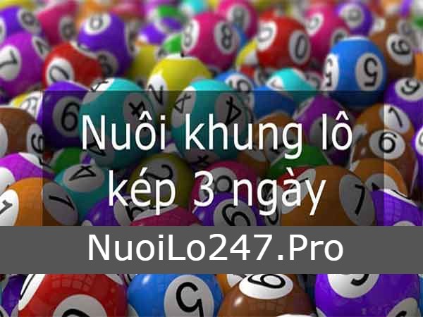 Song thủ lô kép nuôi khung 3 ngày