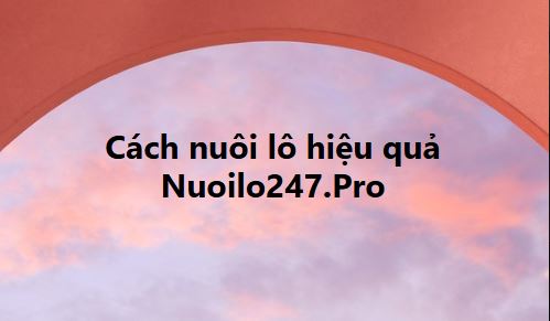 Cách nuôi lô hiệu quả