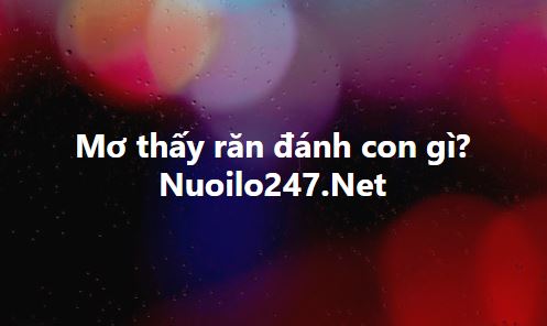 Mơ thấy rắn đánh con gì